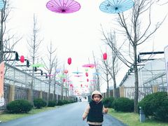 -菊园百果园