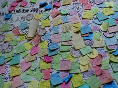 -九华山友谊土菜馆 小资餐厅