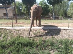 -石家庄市动物园