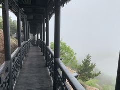 -石老人观光园