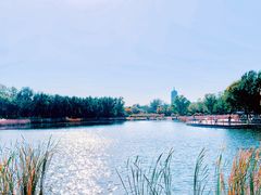 -永定河休闲森林公园