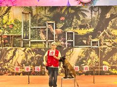 -呀路古热带植物园