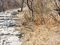 景点-阳台山自然风景区