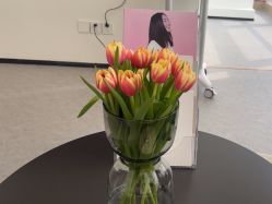 -JNK皮肤管理中心