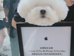 -Apple零售店(成都太古里店)