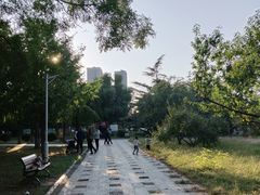 -太阳宫公园