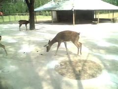 -祥源·阜阳生态乐园