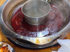 -金鼎雪山牦牛杂火锅(理县总店)