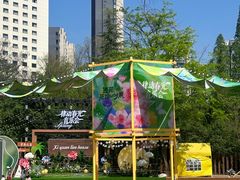 -西苑公园