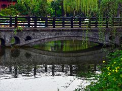 -泰州凤城河风景区-泰山公园