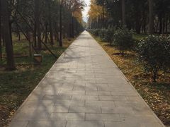 -木塔寺遗址生态公园