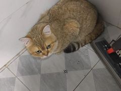 -联合动物医院(光谷诊疗中心)