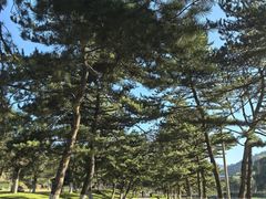 -南泥湾风景区