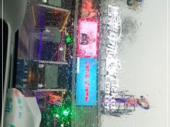 -枫花园汽车电影院(朝阳公园店)