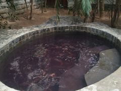 -龙达温泉生态城