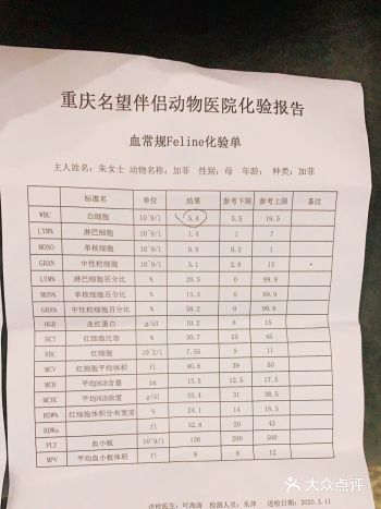 继续当我的猫主子！加油喔… 我的小可爱