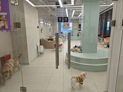 -怪兽屋·羊驼·猫咖·狗咖(俊华广场店)