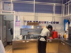-一只酸奶牛(双流万达广场店)