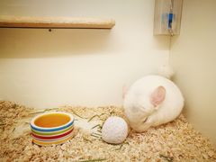 -龙猫仔乐园(惠福东路店)