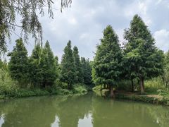 -捞渔河湿地公园