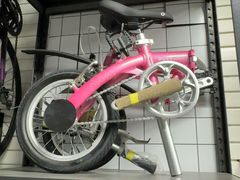 -道路口单车爱瓦士dahon大行