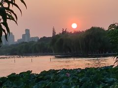 -济南大明湖景区