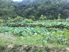 -梁野山景区