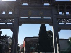 -仙芋传奇(黄山黎阳in巷店)