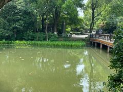 -八卦田遗址公园