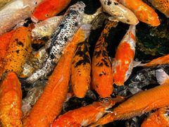 -泉州海丝野生动物世界