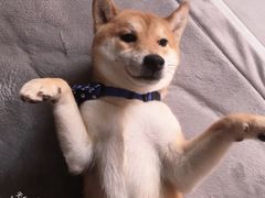 -南京商茂国际酒店(新街口德基广场店)