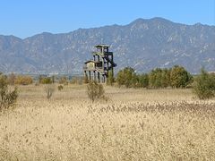 -野鸭湖国家湿地公园
