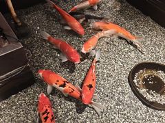 -0776食堂·京城创意菜(七里庄店)