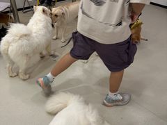 -共舞时光猫咖·狗咖(新街口店)