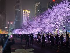 -西北湖绿化广场