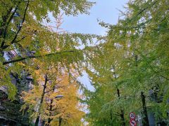-四川大学(望江校区)