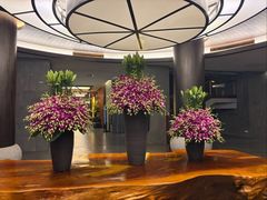 -时光吧·大堂吧·丽江和府洲际度假酒店