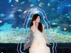 -海合安武汉极地海洋公园