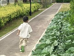 -菊园百果园
