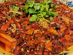 -龙抄手食府(浣花北路店)