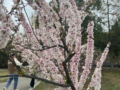 -白塘生态植物园