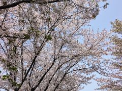 -苏州独墅湖世尊酒店