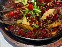 -老板恋上鱼(高新万达店)