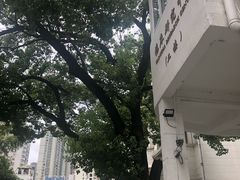 -上海市眼病防治中心(康定路院区)