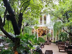 -Fern Forest Cafe