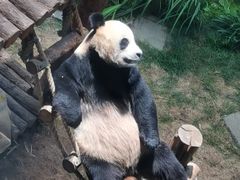 -大连森林动物园