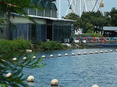 -飞来湖湿地公园