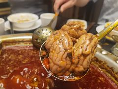 -蜀九香火锅(彩虹店)
