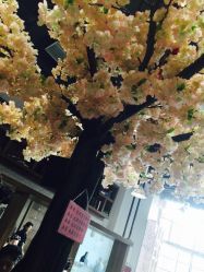 -简影造型·自选烫染接发salon