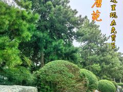-中国唐苑